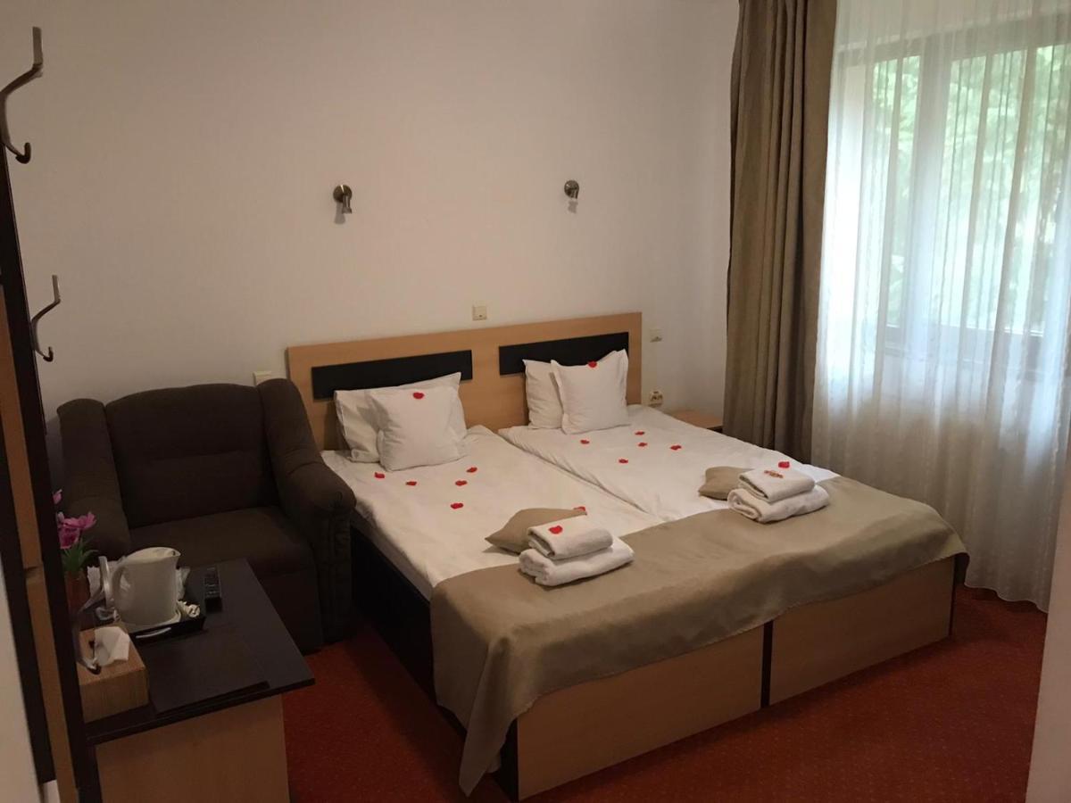 Hotel Flora Alpina Azuga Zewnętrze zdjęcie