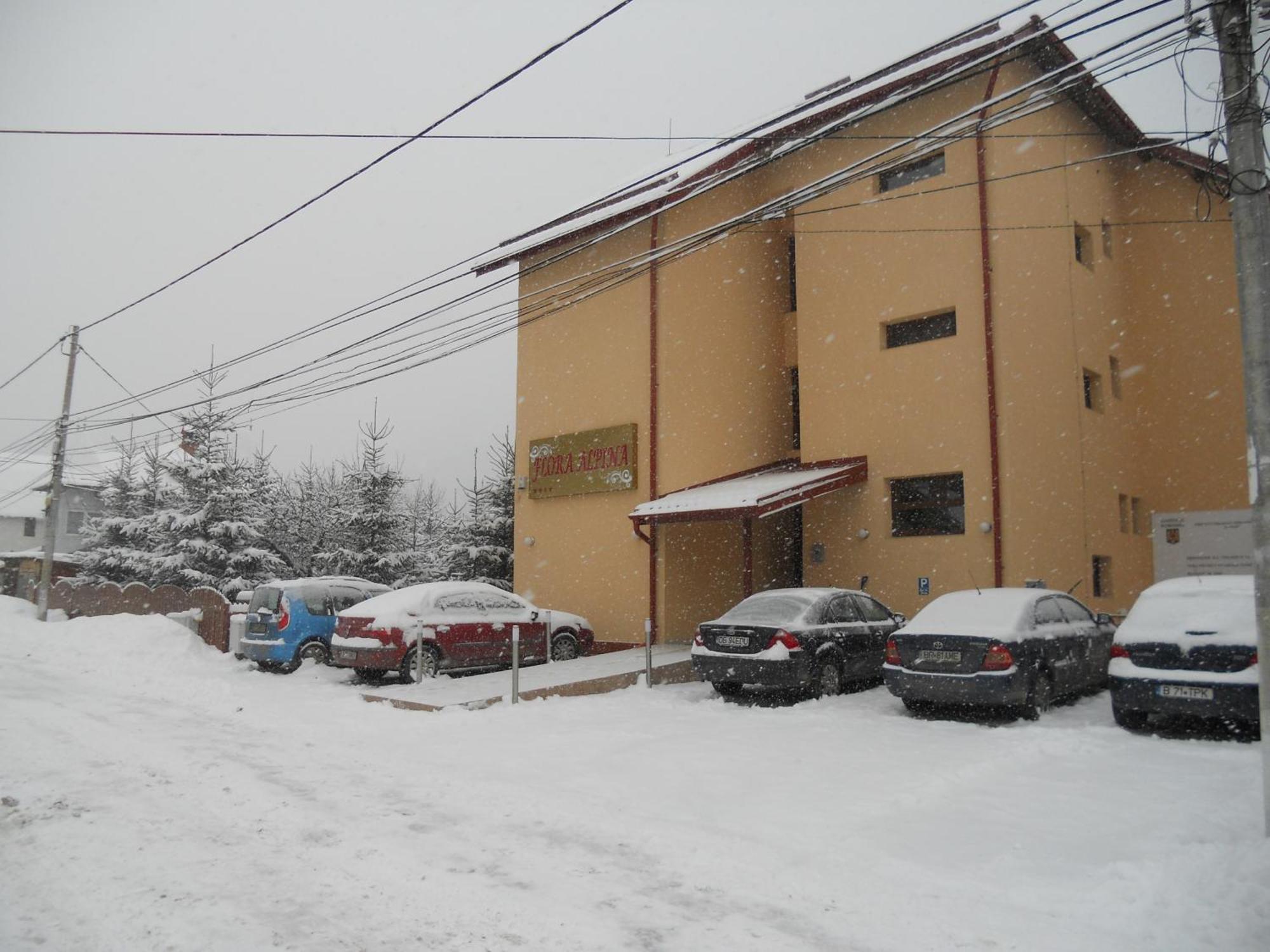 Hotel Flora Alpina Azuga Zewnętrze zdjęcie